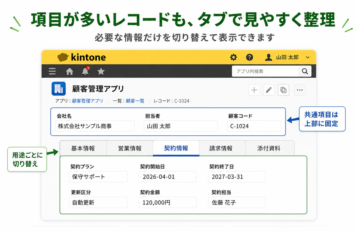 項目が多いレコードも、タブで見やすく整理
